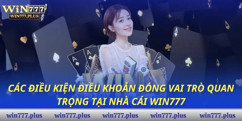 Các điều kiện điều khoản đóng vai trò quan trọng tại nhà cái Win777