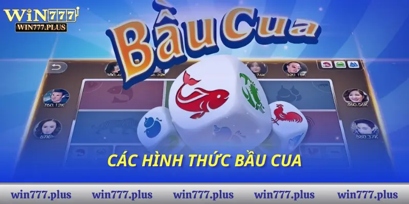 Các hình thức bầu cua
