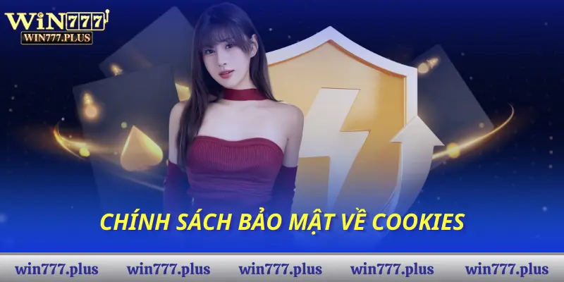 Chính sách bảo mật về Cookies