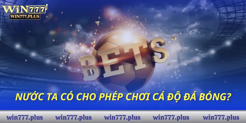 Nước ta có cho phép chơi cá độ đá bóng?
