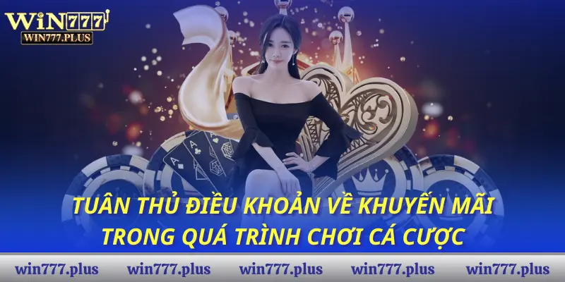 Tuân thủ điều khoản về khuyến mãi trong quá trình chơi cá cược